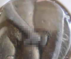 Еротичен тесер или жетон - 2