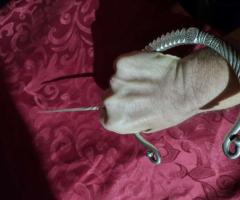 Една уникално голяма и атрактивна Фибула - 6