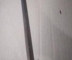 Японски Сай - 5