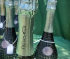 Бутафорни стъклени бутилки - 10